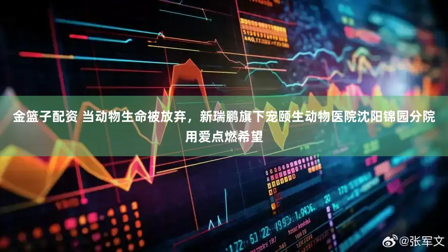 金篮子配资 当动物生命被放弃，新瑞鹏旗下宠颐生动物医院沈阳锦园分院用爱点燃希望