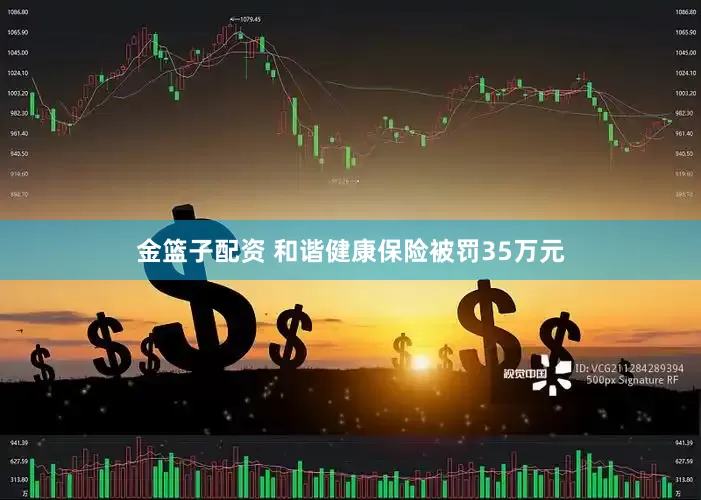 金篮子配资 和谐健康保险被罚35万元
