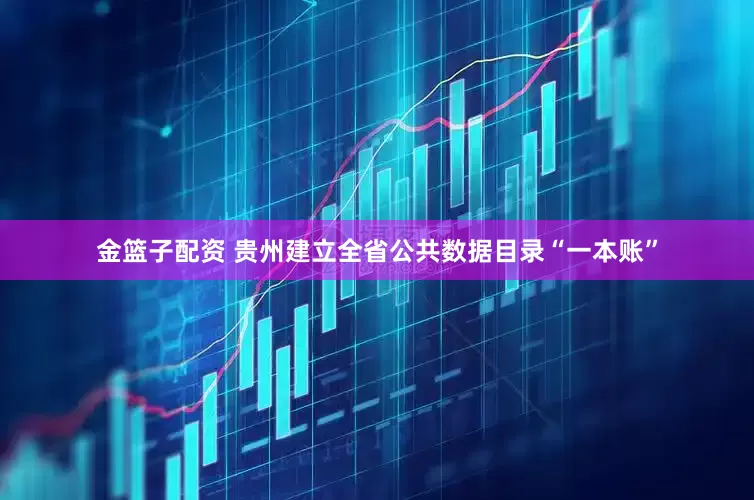 金篮子配资 贵州建立全省公共数据目录“一本账”